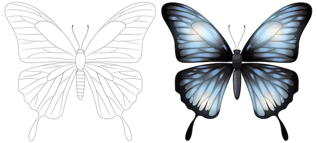 Kostenloser Vektor monochrome zu farbenfrohen schmetterlingstransformation