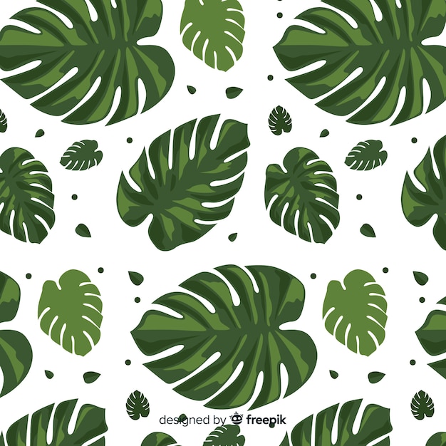 Monstera muster