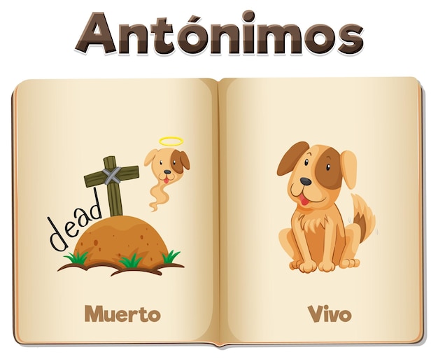 Kostenloser Vektor muerto und vivo spanisch-sprach-wortkarte in vektorillustration