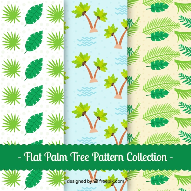 Muster von palmen und blättern