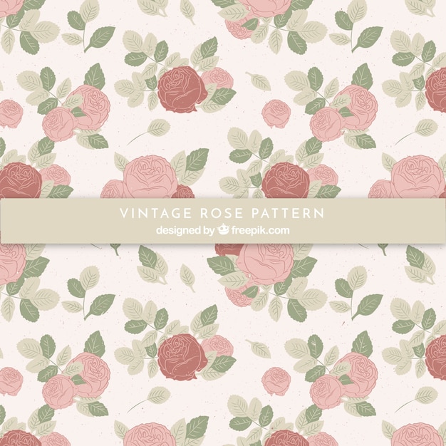 Muster von vintage hand gezeichneten rosen