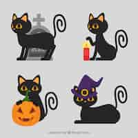 Kostenloser Vektor nette packung flache halloween katzen