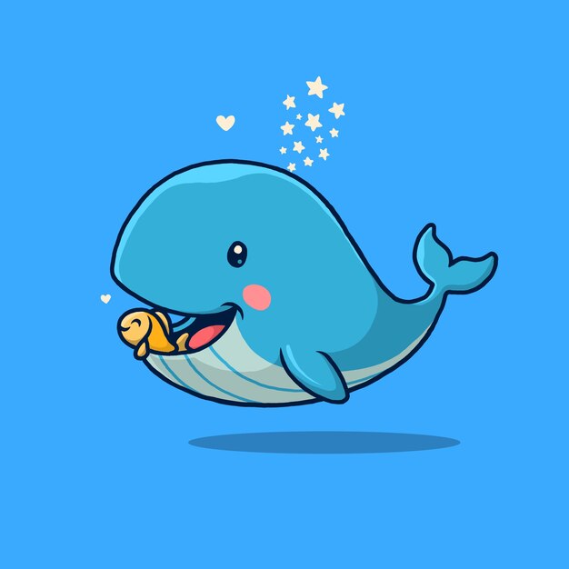 Bilder Blauwal Gratis Vektoren Fotos Und Psds