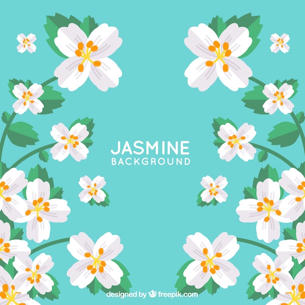 Netter Hintergrund mit Jasmin im flachen Design