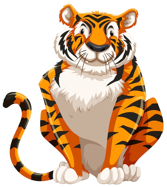 Netter Tiger