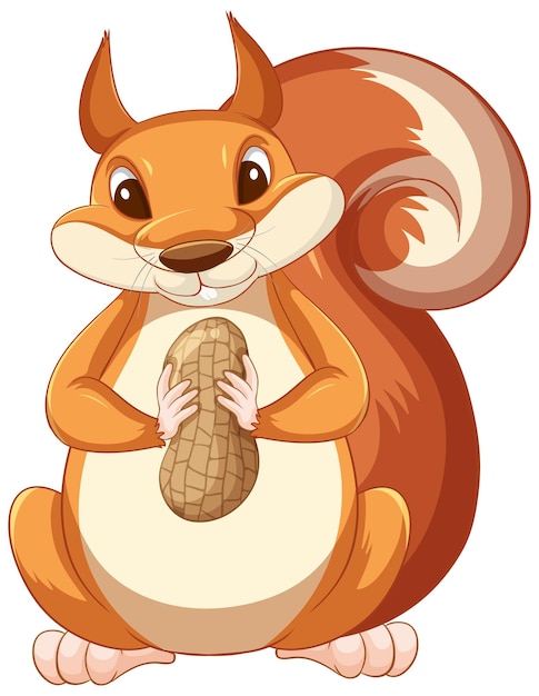 Kostenloser Vektor nettes karikatureichhörnchen, das erdnuss auf weißem hintergrund hält