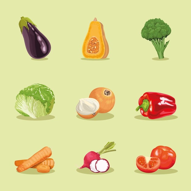 neun gesetzte ikonen der gesunden lebensmittel des gemüses
