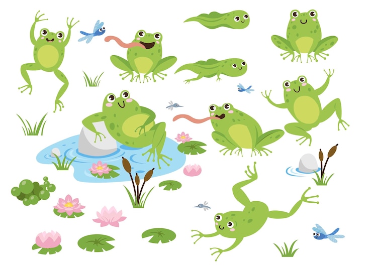 Kostenlose Vektor niedliche frosch-cartoon-figuren-illustrationen eingestellt