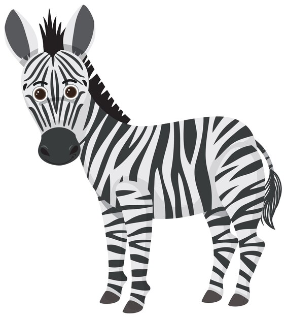 Niedliches Zebra im flachen Cartoon-Stil