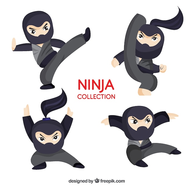 Ninja charakter sammlung