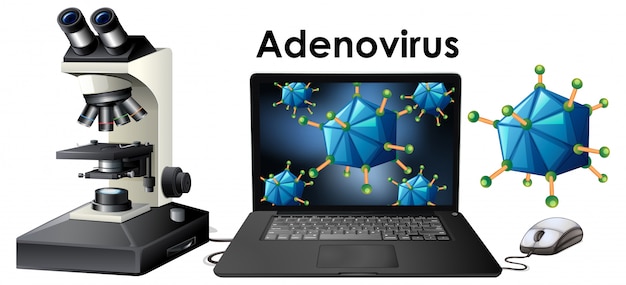 Objekte des virus namens adenovirus