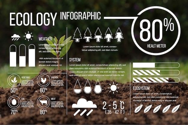 Kostenloser Vektor Ökologie infografik mit foto