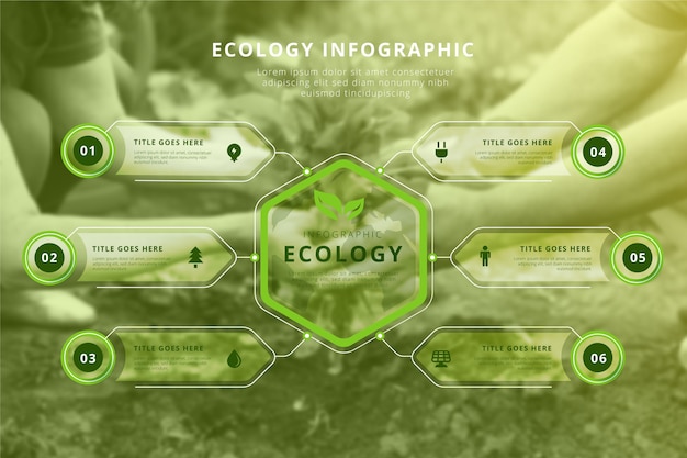 Kostenloser Vektor Ökologie-infografik mit fotokonzept