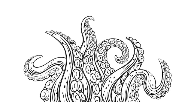 Oktopus-tentakel umreißen banner. gezeichnete einfarbige gliedmaßen des seemonsters kraken. vektorillustration von verdrehten tentakeln des seekraken mit saugnapf