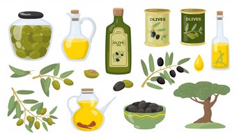 Olivenvektor-illustrationssatz