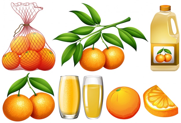 Kostenloser Vektor orangen und orangenprodukte illustration