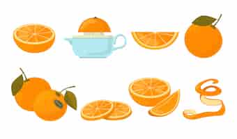 Kostenloser Vektor orangenfrucht-ikonen-kit