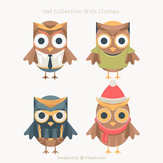 Owl Pack in flachem Design mit Zubehör