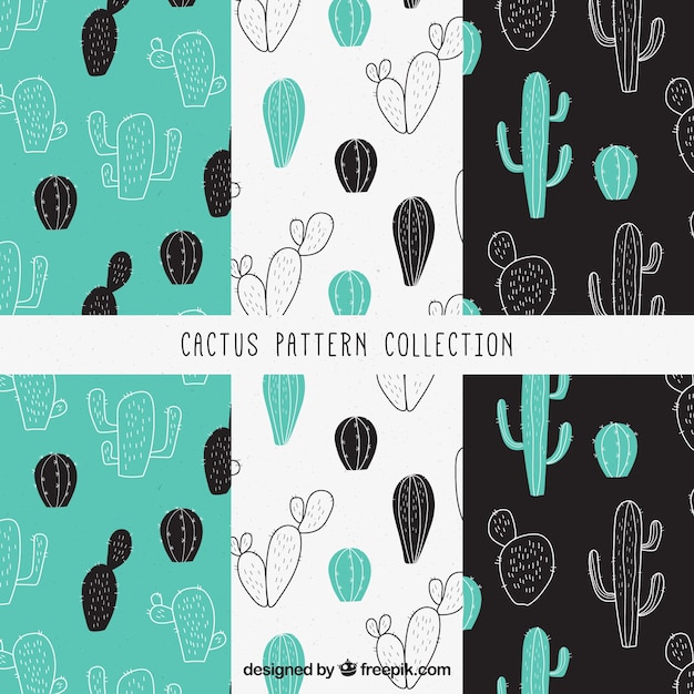 Packung dekorative muster mit kaktus-skizzen