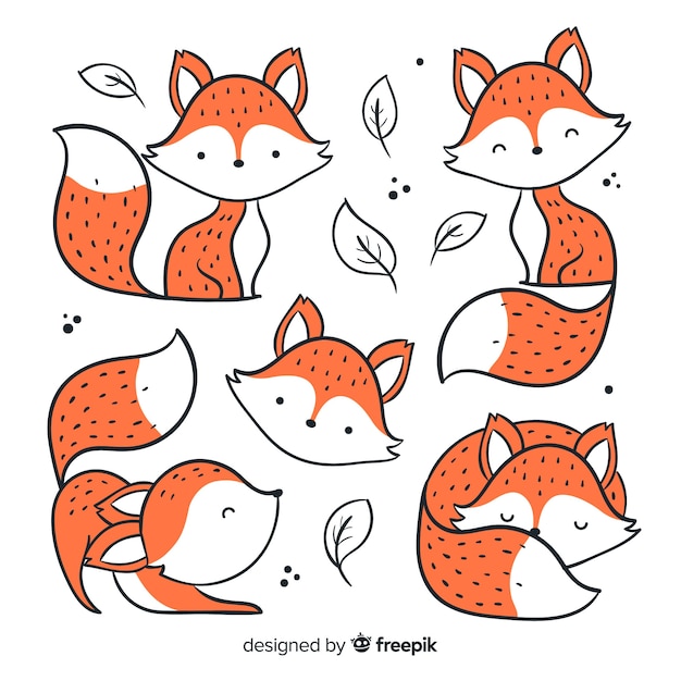 Bilder Fuchs Gratis Vektoren Fotos Und Psds