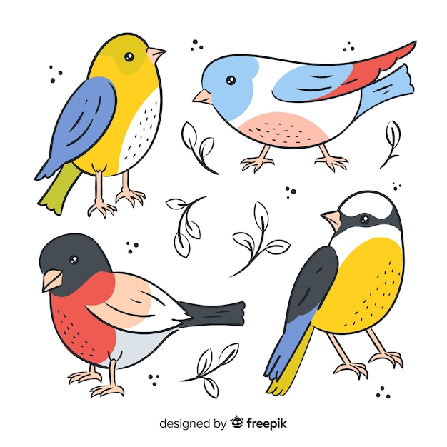 Packung mit handgezeichneten vögeln