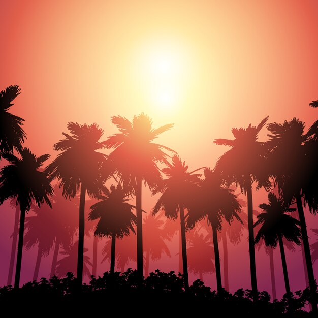 Palmelandschaft gegen Sonnenunterganghimmel