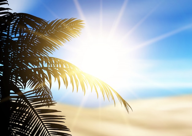 Kostenloser Vektor palmenschattenbild auf einer defokussierten strandlandschaft