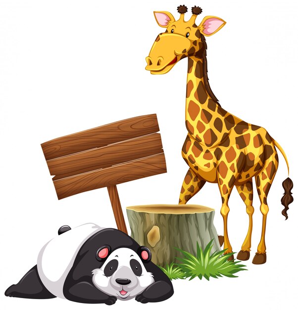 Panda und Giraffe am Schild