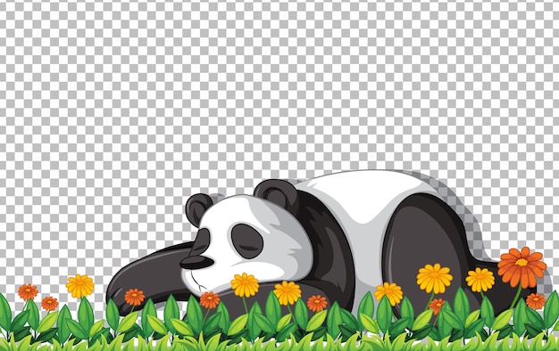 Kostenloser Vektor pandabär, der auf grünem gras auf transparentem hintergrund liegt