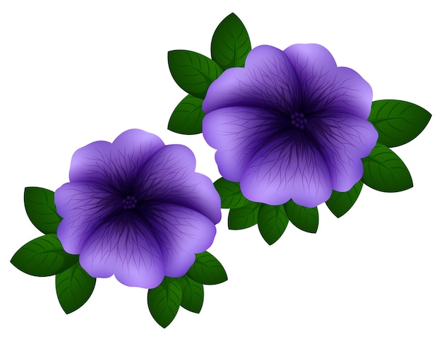 Kostenloser Vektor petunie in lila farbe