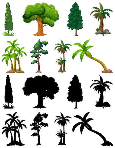 Pflanzensatz und Baum mit seiner Silhouette