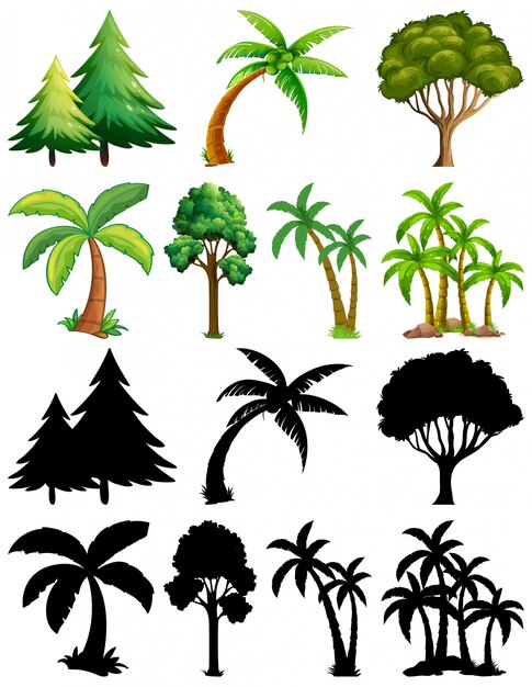 Pflanzensatz und Baum mit seiner Silhouette