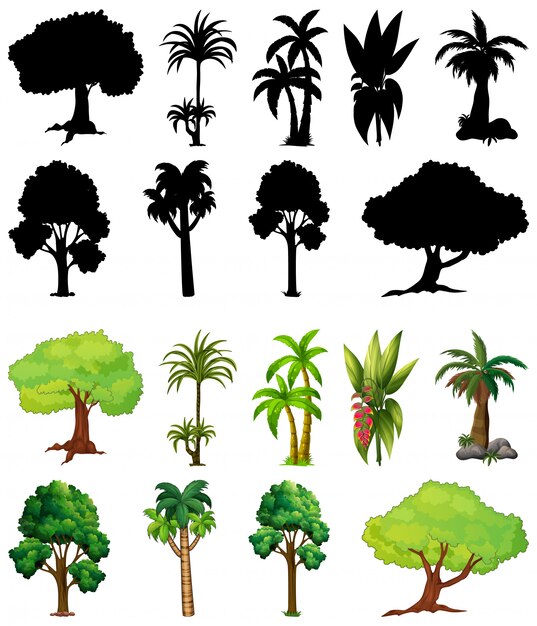 Pflanzensatz und Baum mit seiner Silhouette
