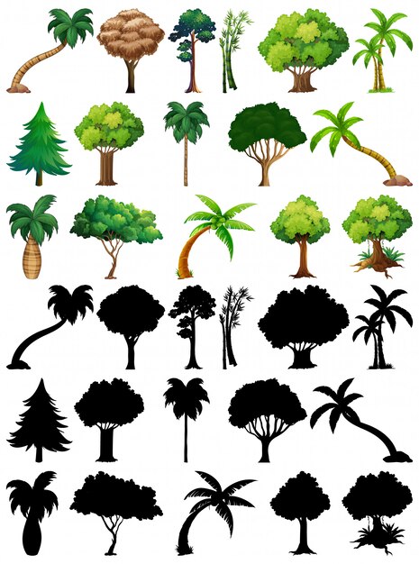 Pflanzensatz und Baum mit seiner Silhouette