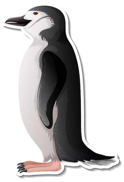 Pinguin-Tier-Cartoon-Aufkleber auf weißem Hintergrund