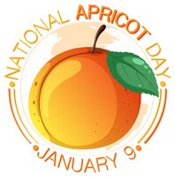 Plakatdesign zum nationalen aprikosentag