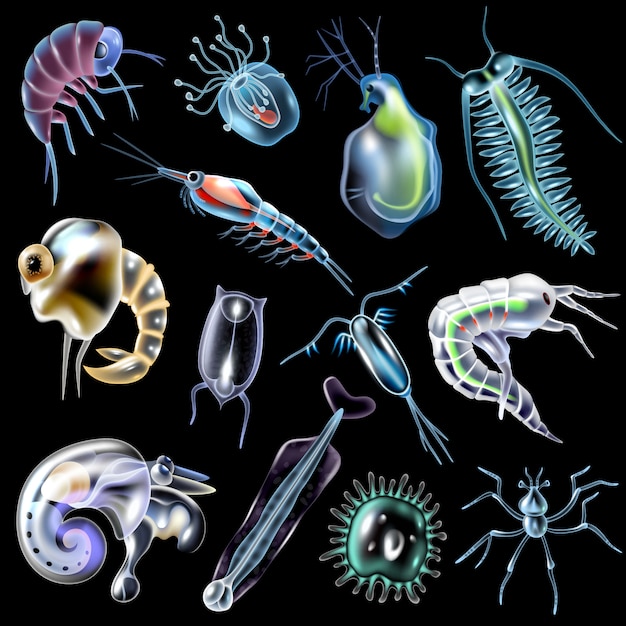 Kostenloser Vektor plankton farbige lumineszenzikonen, die in karikaturart auf schwarzem hintergrund eingestellt wurden, lokalisierten illustration