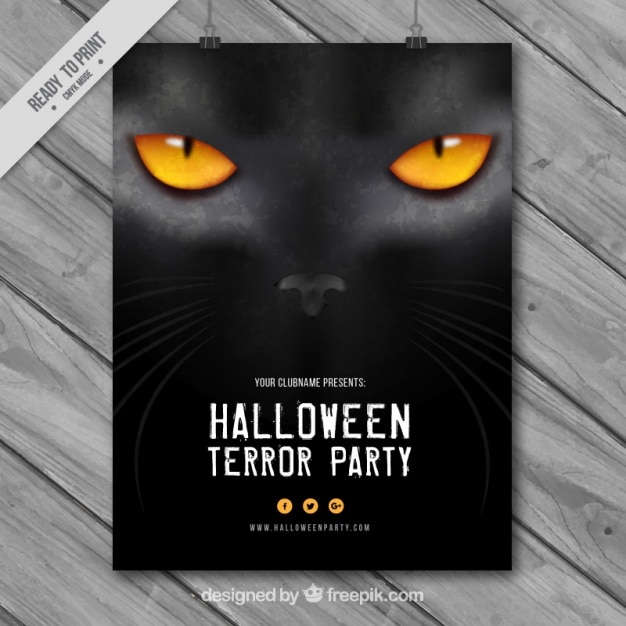 Poster halloween von katzen-look