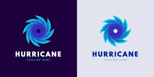 Professionelle Hurrikan-Logo-Vorlage