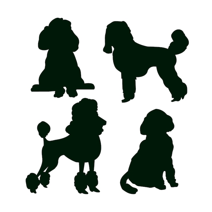 Kostenlose Vektor pudel-silhouette im flachen design