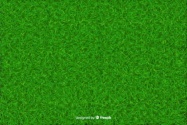 Realisitic Design des Hintergrundes des grünen Grases