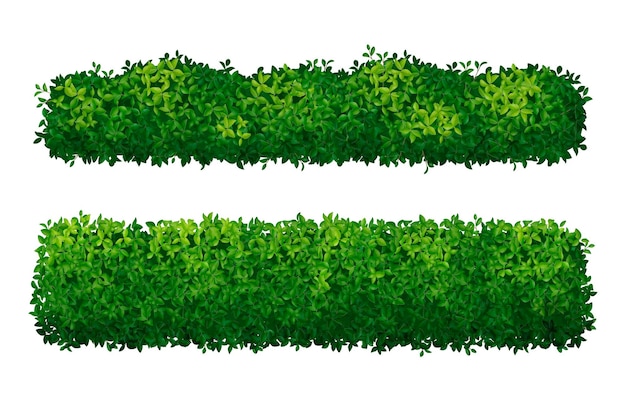 Realistische Büsche, grüne Hecken, einzeln auf weißem Hintergrund, Vektorgrafik