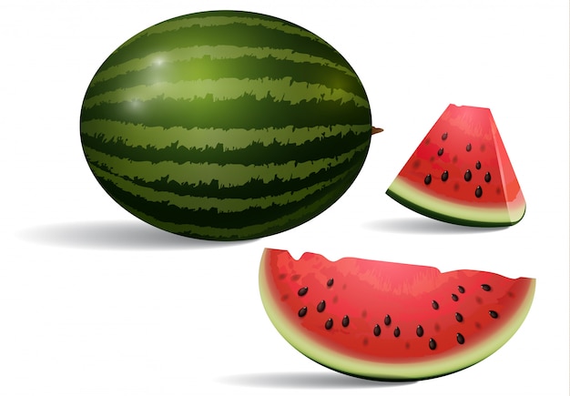 Realistische Darstellung der Wassermelone. Nachtisch, Frieden, Scheibe. Frucht-Konzept.