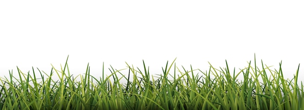 Realistische Gras Hintergrund