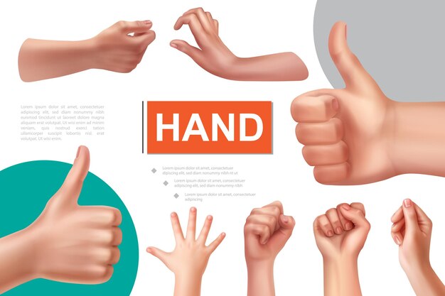 Realistische Hand gestikuliert Komposition mit weiblichen Fäusten okay Zeichen nehmen und etwas Hände halten