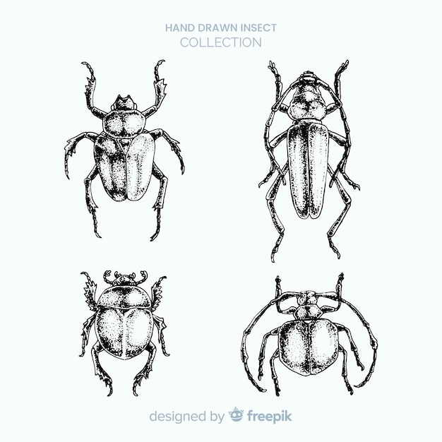 Kostenloser Vektor realistische hand gezeichnete insektenskizzensatz
