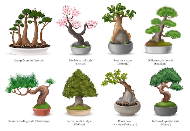 Kostenloser Vektor realistische japanische bonsai-bäume in blumentöpfen-symbolen setzen isolierte vektorillustration