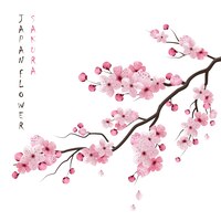 Realistische sakura branch