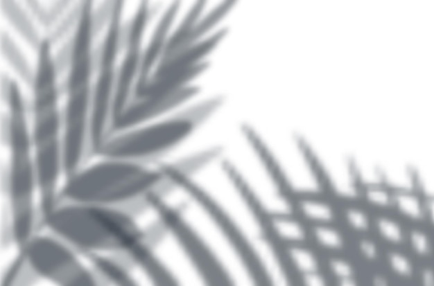 Realistische Schattenüberlagerungseffekte Mockup-Draufsichtskomposition mit exotischen Blätterschatten an der Wand