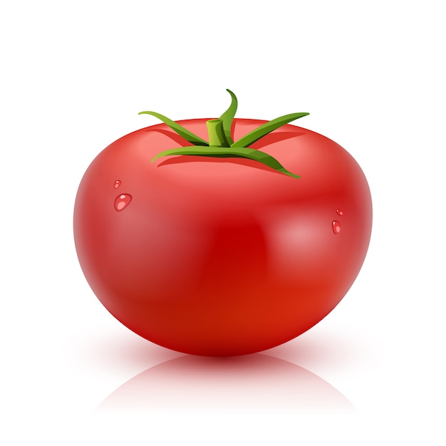 Realistische Tomate isoliert